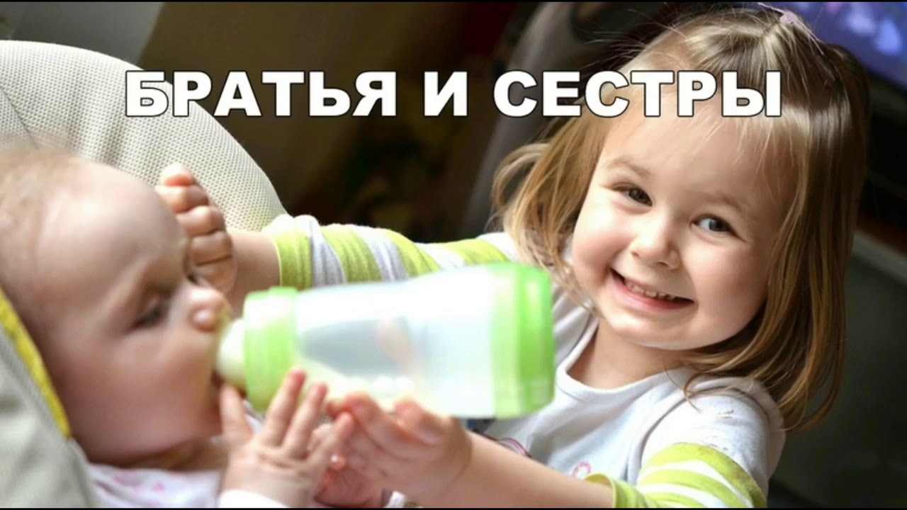 Кот Мурзик Новый Год Кот Мурзик Новый Год