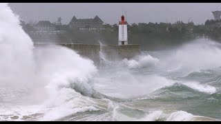 Tempête Gérard : un automobiliste décède après avoir percuté un arbre en Gironde