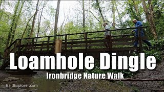 Loamhole Dingle Nature Walk at Ironbridge - Part One