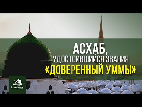 Асхаб, удостоившийся звания «Доверенный уммы» | ИсламДаг.ру