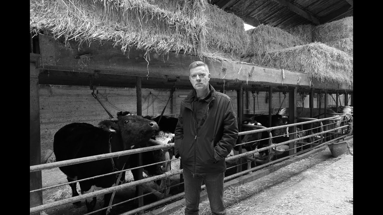 Frans-Vlaanderen 441 Streektaal / Langue régionale 19-12-2023 Mark Ingelaere