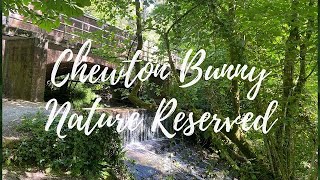 Chewton Bunny Nature Reserve|FilipinaBritish Couple