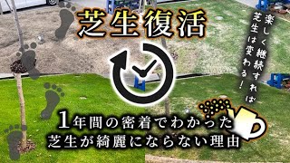 徐々に綺麗になる芝生！成長記録【３６５日】失敗からわかった来年の課題！