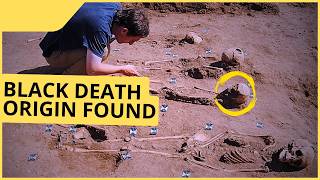 Scientists FINALLY Found Where the BLACK DEATH Began Profile