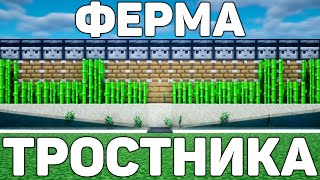 САМАЯ ЛУЧШАЯ АФК ФЕРМА ТРОСТНИКА В МАЙНКРАФТ!