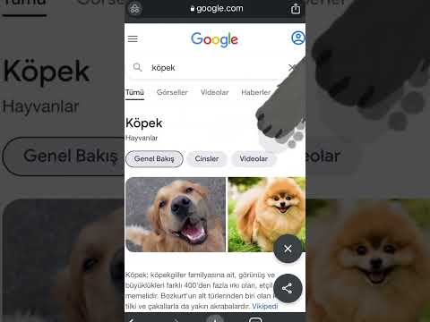 Google’da Bunu Biliyor