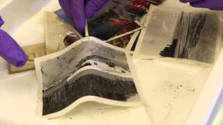 Celebrity UD Art Conservation: How to restore flood-damaged photos Wealth