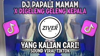 DJ MASHUP PAPALI MAMAM X DIGELENG GELENG KEPALA VIRAL TIKTOK FULL BASS TERBARU YANG KALIAN CARI!