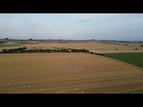 After the harvest
