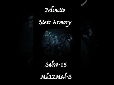 Palmetto State Armory SABRE-15 MK12 mod-S | video releases NOV-16th on YouTube.