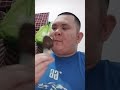 Reawg Komeran Nolrea Di Ok Ollom Atso Setang Ini Hrsome Greaw Bilkom Aderag Setoma Hiran Adeo Guhoga Reawg Komeran Nolrea Di Ok Ollom Atso Setang Ini Hrsome Greaw Bilkom Aderag Setoma Hiran Adeo Guhoga