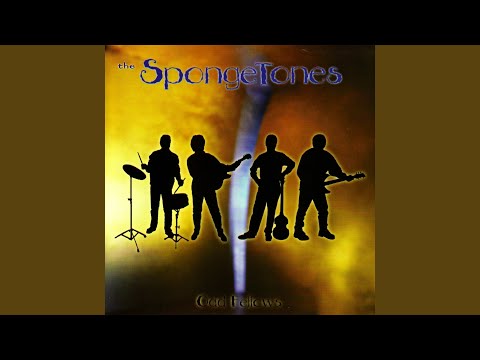 The Spongetones — Love Song to Mrs Parker