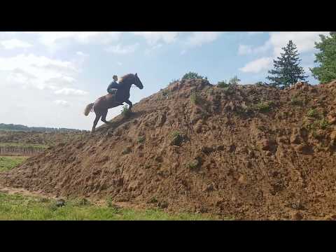 Конный экстрим в Подмосковье (северо-запад)