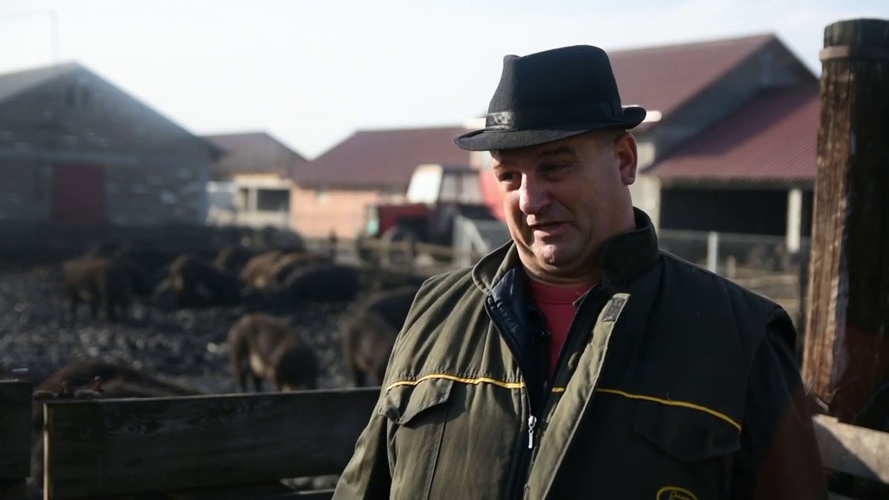 Salas Drezgic emisija farma