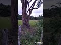aproveitando a folga 2