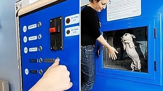 Самые Необычные Торговые Автоматы, Которые Взорвут Ваш Мозг Самые Необычные Торговые Автоматы, Которые Взорвут Ваш Мозг