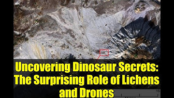 Uncovering Dinosaur Secrets: The Surprising Role of Lichens and Drones