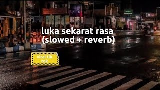 Download lagu Luka sekarat rasa Tiktok virall... mp3