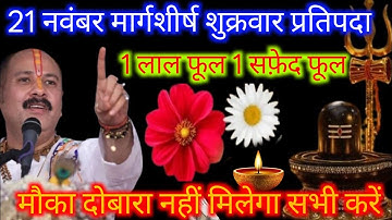 21 नवंबर शुक्रवार प्रतिपदा के दिन 1 लाल फूल 1 सफ़ेद फूल वाला उपाय जरुर करे || Pradeep  Mishra Ji