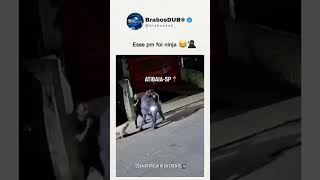Delivery diferente kkkk #saopaulo #policia #comedia #motoboy #ifood #memes #brasil