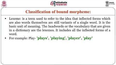 M-11. Basic Concepts in Morphology