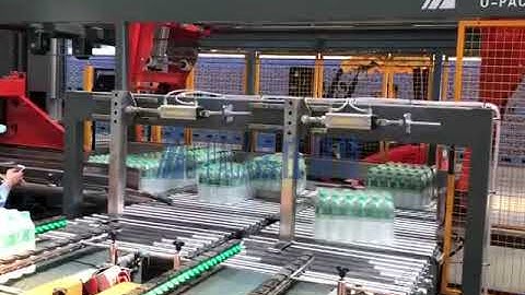 Machanical palletizer