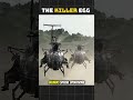 The Killer Egg