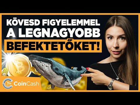 Bitcoin és ethereum tranzakciók követése