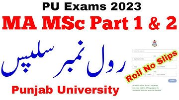 MA MSc Part 1 & 2 Annual 2023 Roll No Slips PU