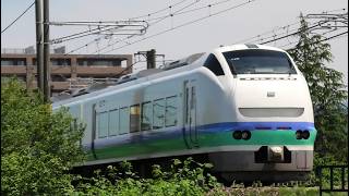 特急しらゆき１号新潟行き【4K】E653系H202編成信越本線51M