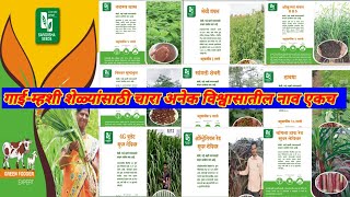 चारा बियाणे आपण आता घरबसल्या ऑनलाइन मागवू शकता Buy Online Green Fodder Seeds | Saividishaseeds.com