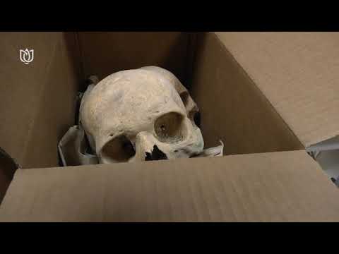 Abasári csontok antropológiai vizsgálata