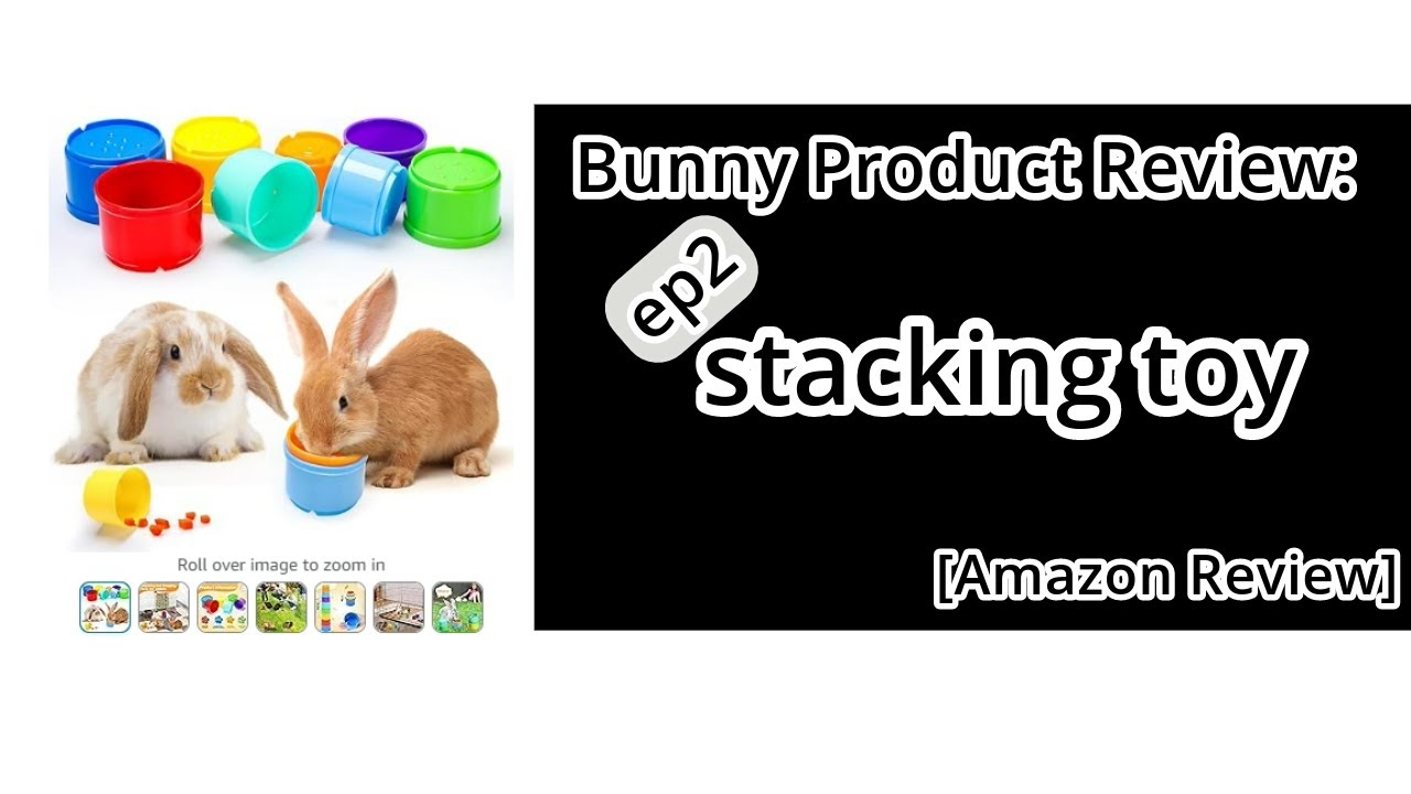Bunny Product Review: stacking toy