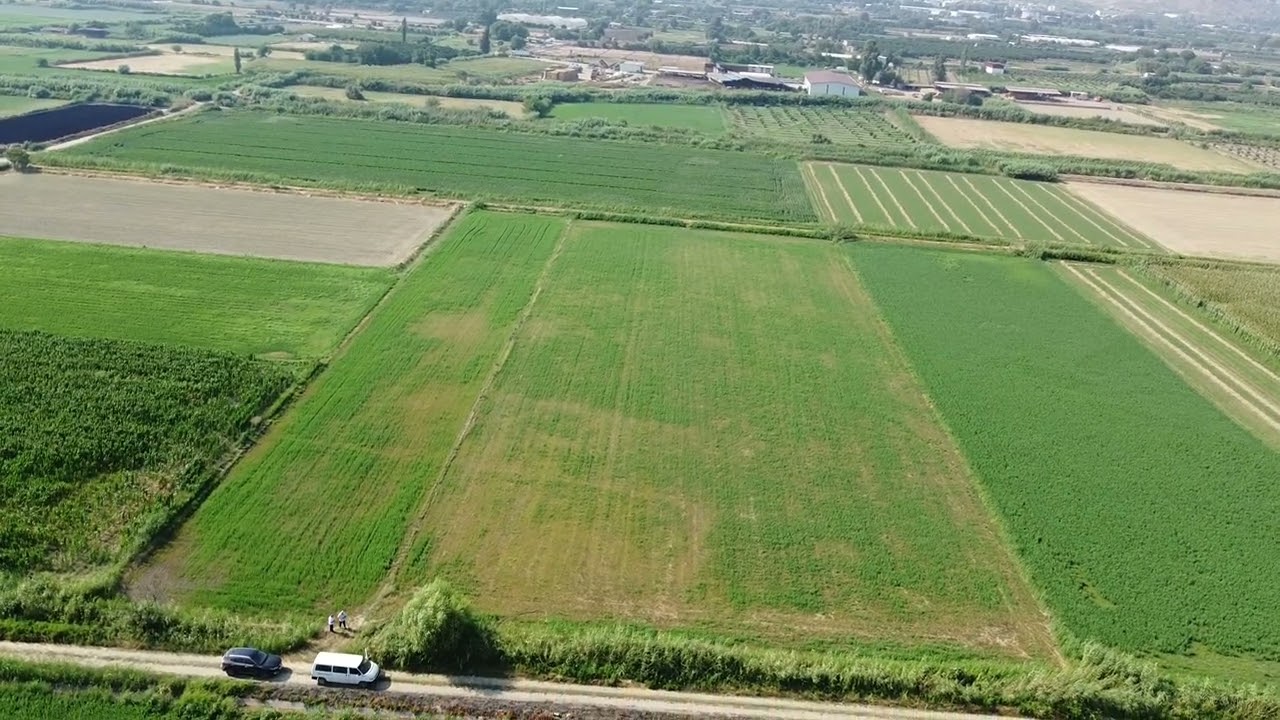 🎉 SULTANHİSAR ATÇA'DA ÇİFTLİK YAPMAYA MÜSAİT 10.263 M2 SATILIK TARLA 🎉