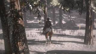 Red Dead Redemption - Wanted Dead or Alive