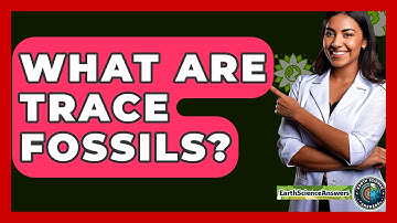 What Are Trace Fossils? - Earth Science Answers
