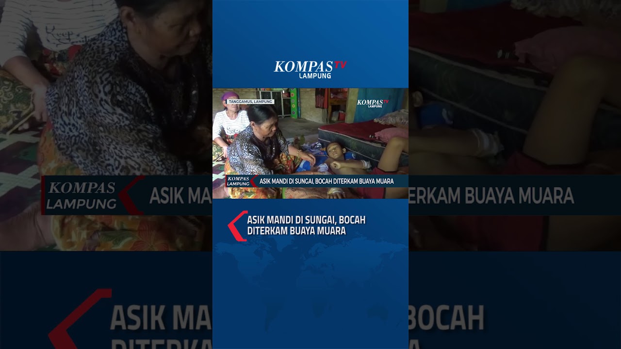 Asik Mandi di Sungai, Bocah Diterkam Buaya Muara