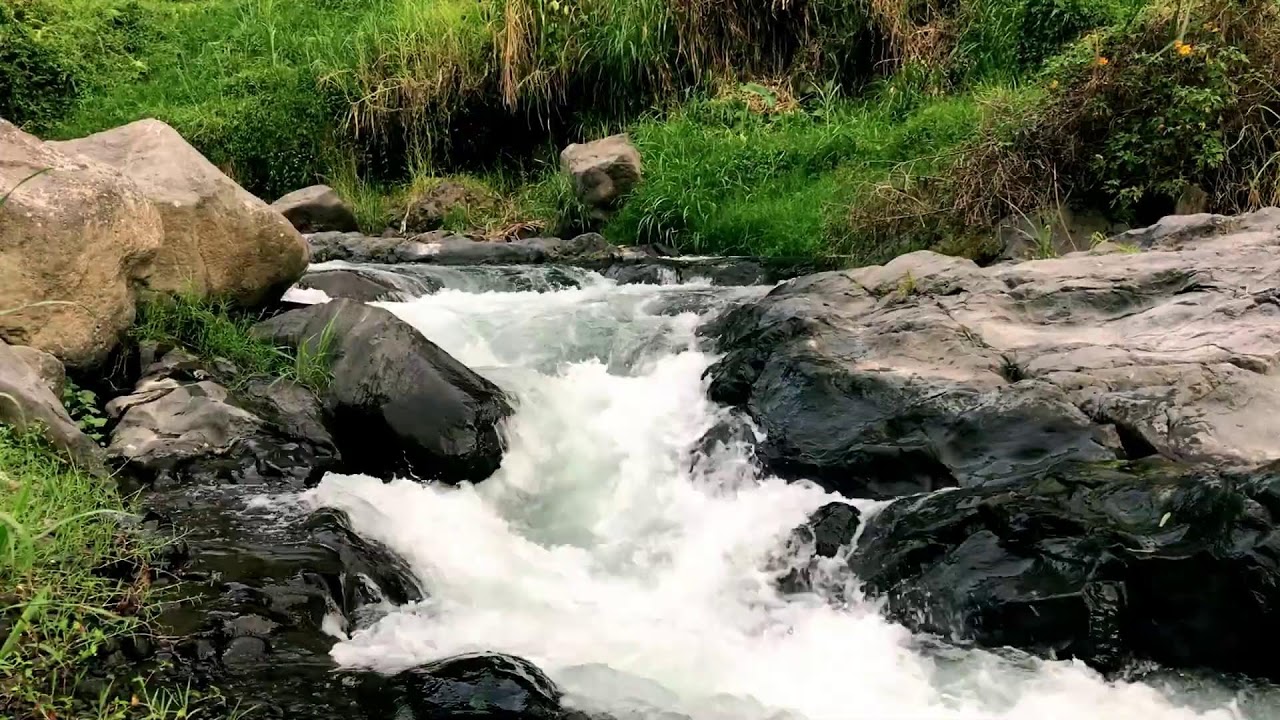 Quiet Lowland Creek – For All Night Sleep & Reading Focus