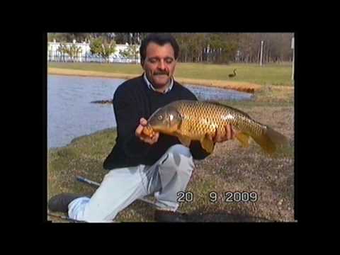 Carp Fishing on the Lake Burley Griffin,a nice day out,a test to my rod pods and a blooper at the end,oops.