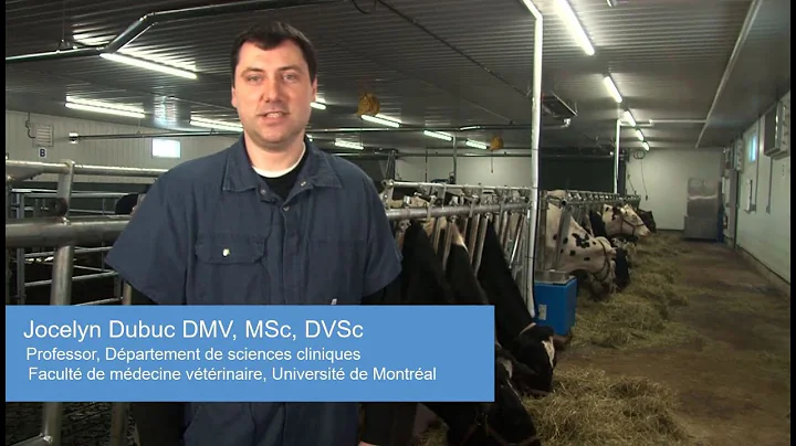 Early non-pregnancy diagnosis – Doppler ultrasound