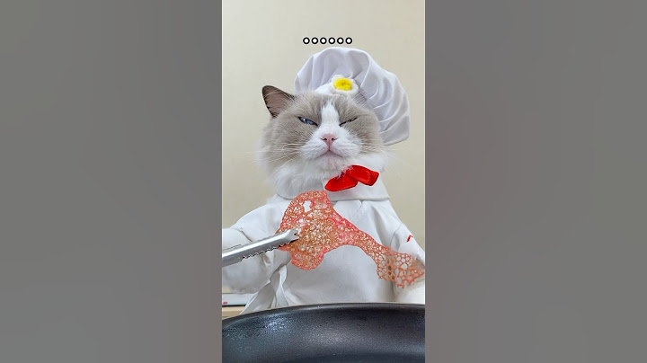 🍳 Puff's cooking up some wild kitchen creations! What's on the menu today? 🍽️✨ #thatlittlepuff