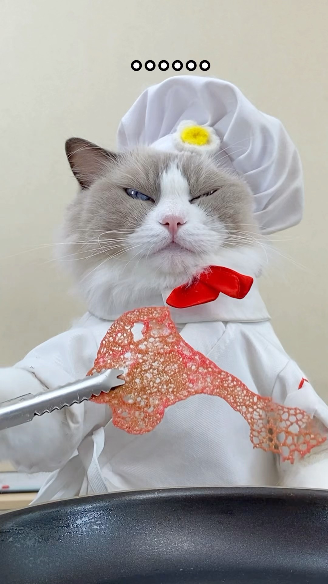 ? Puff's cooking up some wild kitchen creations! What's on the menu today? ?️✨ #thatlittlepuff