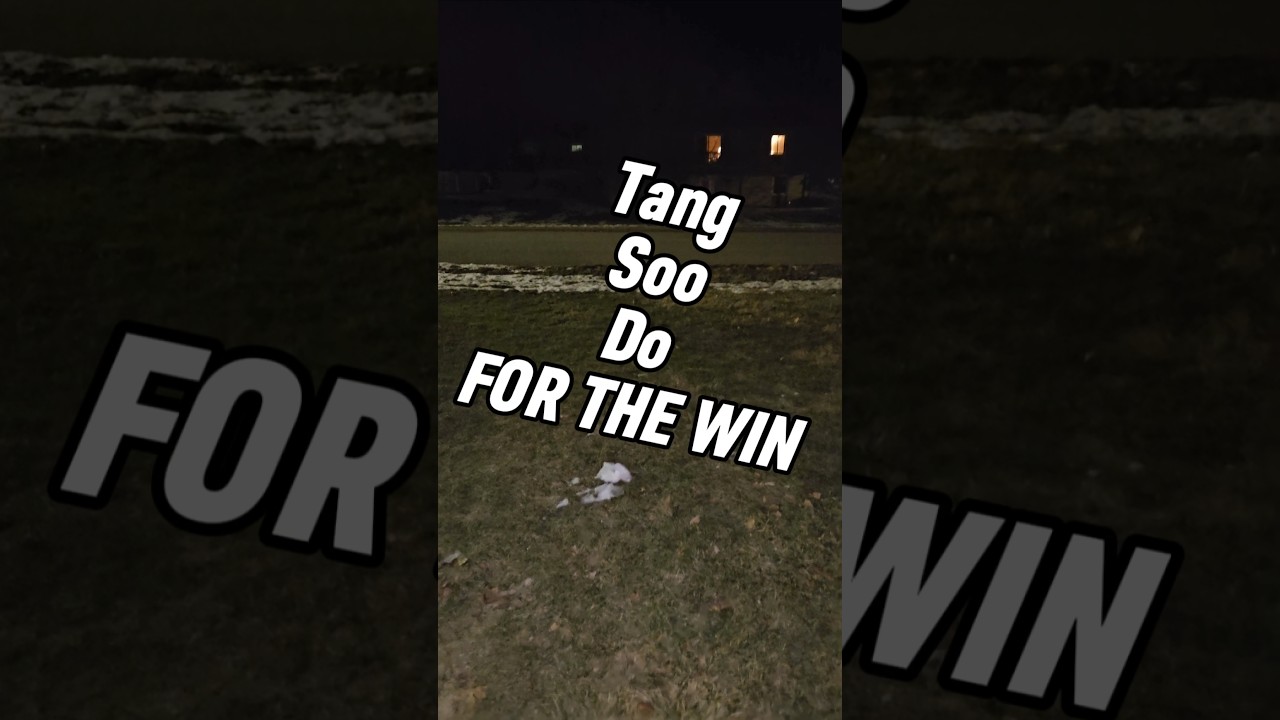 Tang Soo Do for the win 