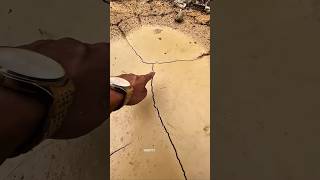 gold viral video 🤣 #funny #funnyvideo