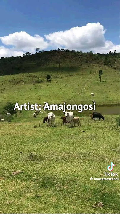 amajongosi Wase Mzimkhulu