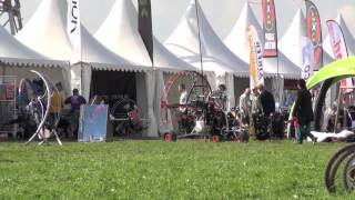 Basse ham 2012