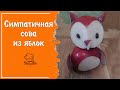 Сова из яблока - красивые поделки из фруктов и для украшения детского стола