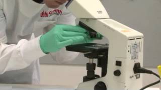 Light microscope correct use and selection of lens