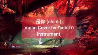 是你 (shi ni) Violin Cover by Đinh Lữ - Instrument