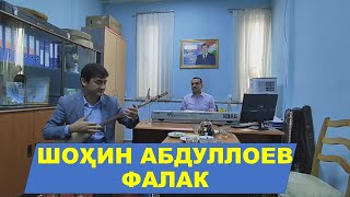 Шохин Абдуллоев/Фалак